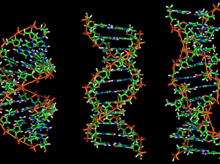 В ДНК Гитлера обнаружили его генетическую предрасположенность к шизофрении