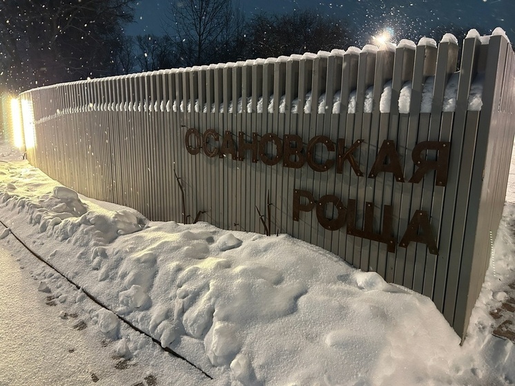 Завершается благоустройство общественных пространств на Вологодчине