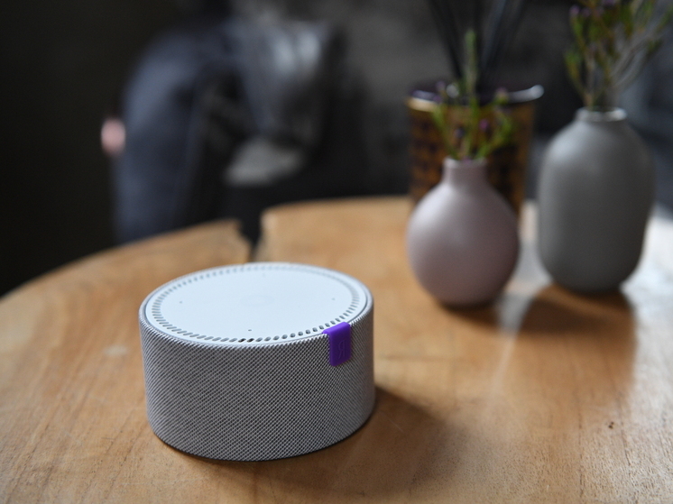 Роскачество призвало не обсуждать чувствительную информацию около умных колонок