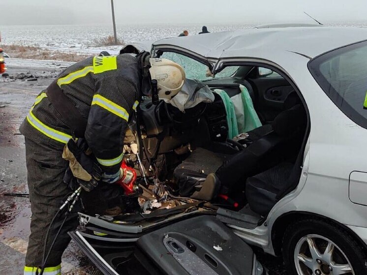 На трассе Омск — Калачинск в ДТП пострадали три человека