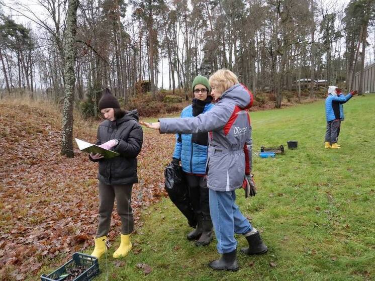 В парке Монрепо начали высаживать будущие первоцветы