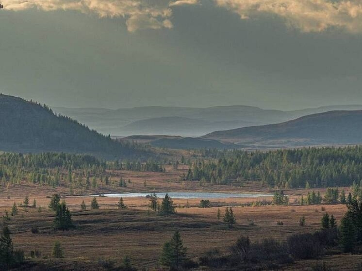 Самый высокий «Полярный индекс» в РФ снова получил Ямал