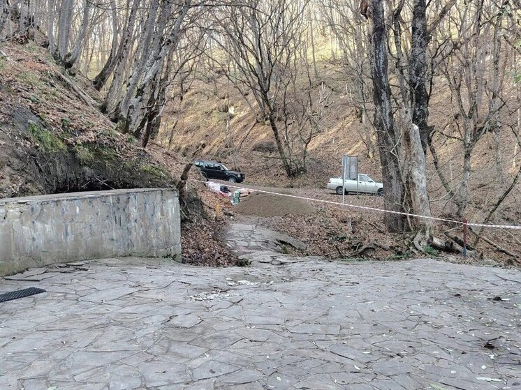 В Таманском лесу Ставрополя начали ремонт Михайловских родников