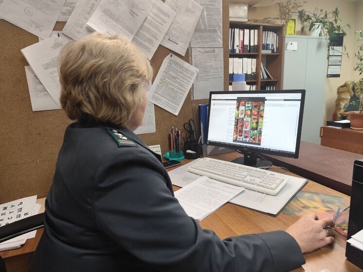 В Чувашии выявлены нарушения при посеве сельхозкультур под урожай 2025 года