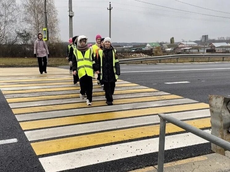 В Карабай-Шемуршинской школе прошли классные часы о безопасности на дороге