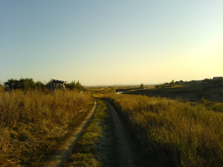 В Екатериновском районе против живого существа применили модифицированное оружие