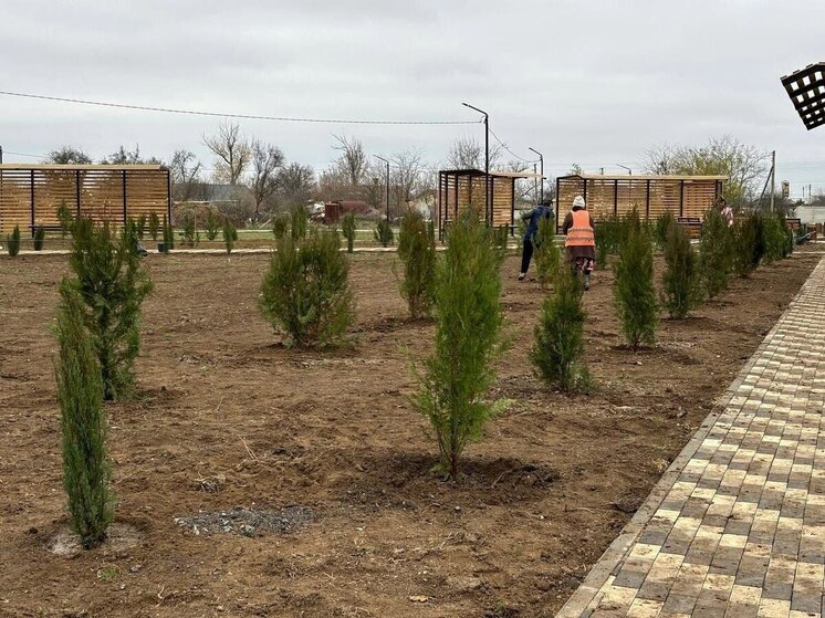 В новом парке Джанкойского района высадили 160 саженцев деревьев