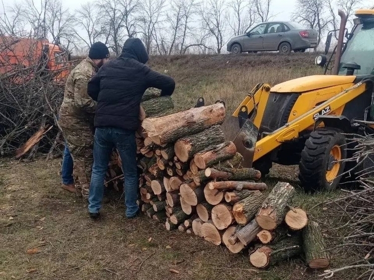 Сухостой на дрова: в Алексеевском округе заготовили порядка 300 кубометров топлива