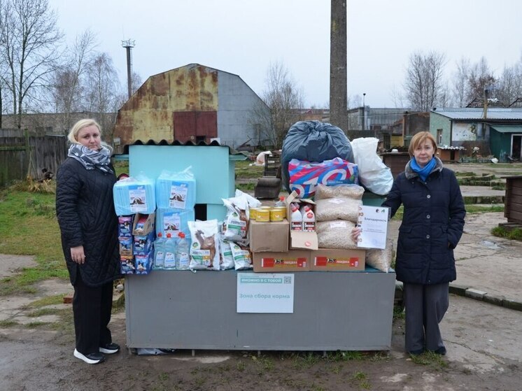 Сотрудники арбитражного суда Псковской области собрали помощь для приюта «Лесопилка»