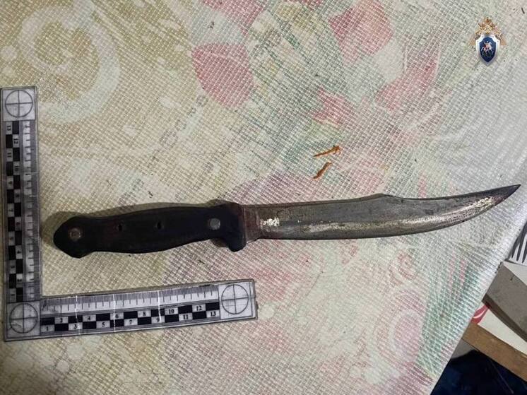 Житель села Яр-Сале зарезал сожительницу