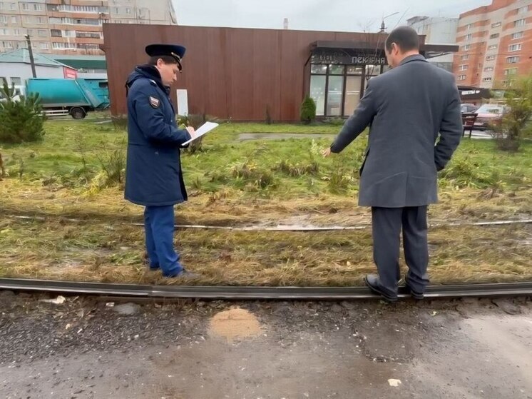 Прокуратура раскрыла первые итоги проверки рельс в Туле