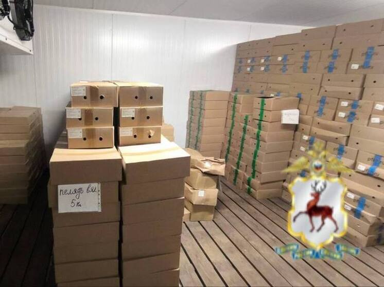 Крупную партию сомнительной рыбы изъяли в Чкаловске