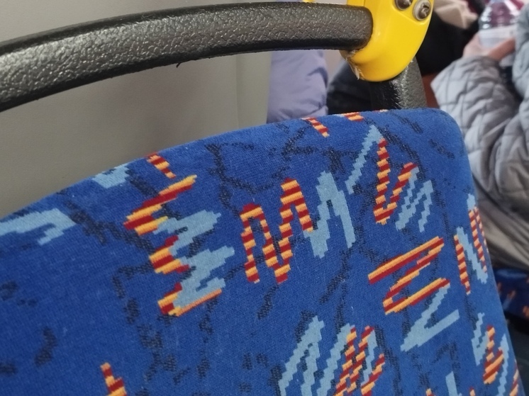 В Новгородской области начали проверку технического состояния школьных автобусов