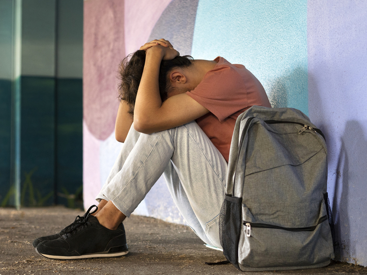 Дело о травле школьника в Северске взято на контроль председателем СК России