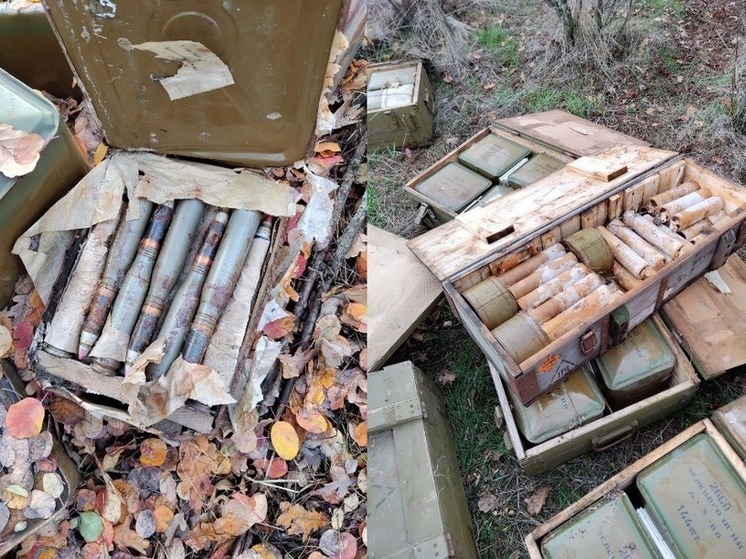 В Запорожской области выявили очередной схрон с боеприпасами