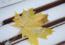 Первые снежинки могут закружить в столичном регионе уже в ближайшую субботу, то есть через два дня после наступления климатической зимы