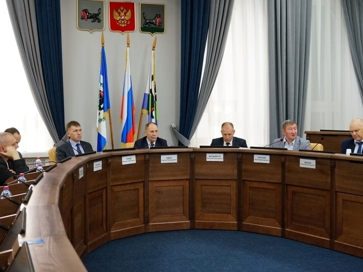Две комиссии думы Иркутска рассмотрели параметры профильных муниципальных программ