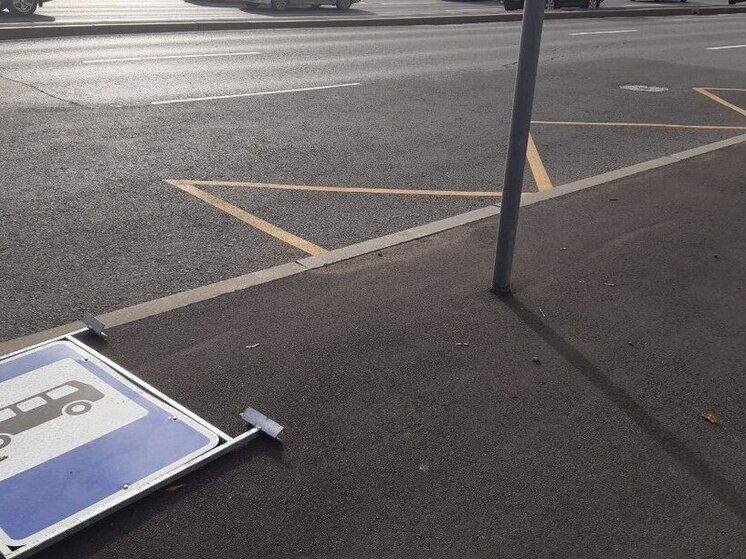 Пьяная парочка устроила разгром на Новочеркасском проспекте в Петербурге