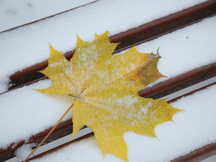 Названы сроки выпадения и таяния первого снега в Москве