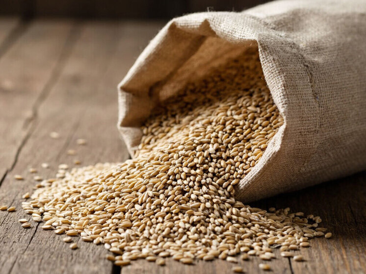 Первая экспортная партия пивоваренного ячменя отправится в Казахстан из Тюменской области