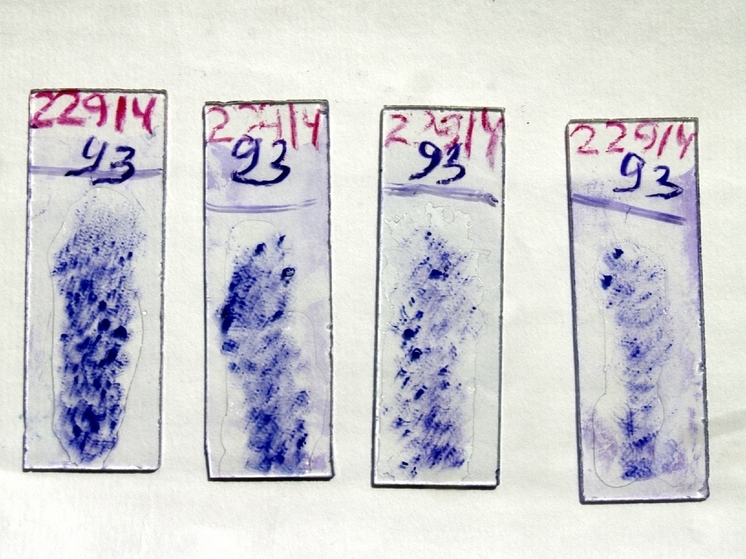 Ученые обнаружили в России более 60 новых вирусов