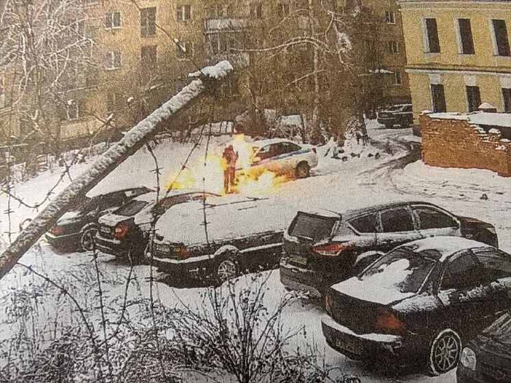 Псковскую студентку освободили от наказания за поджог полицейской машины