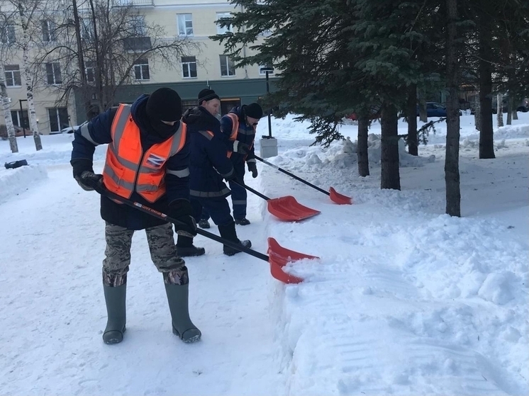 С декабря «Чистый город» будет убираться во всех округах Архангельска