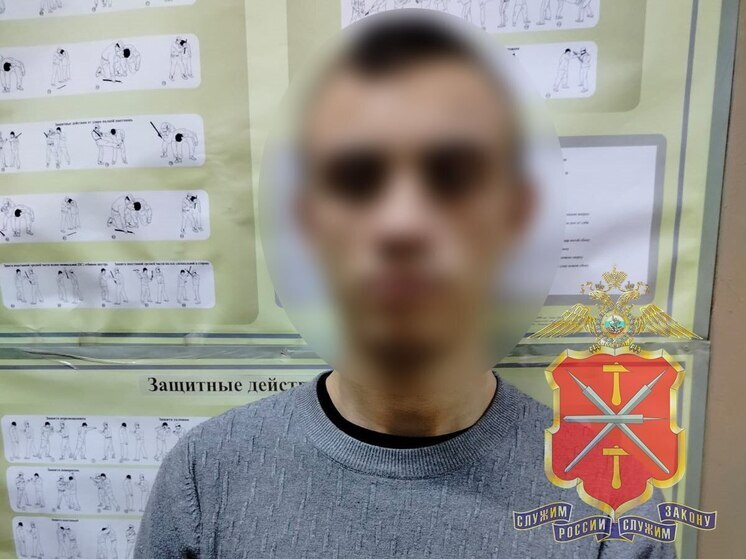 Под Тулой 18-летний парень обчистил дачный дом