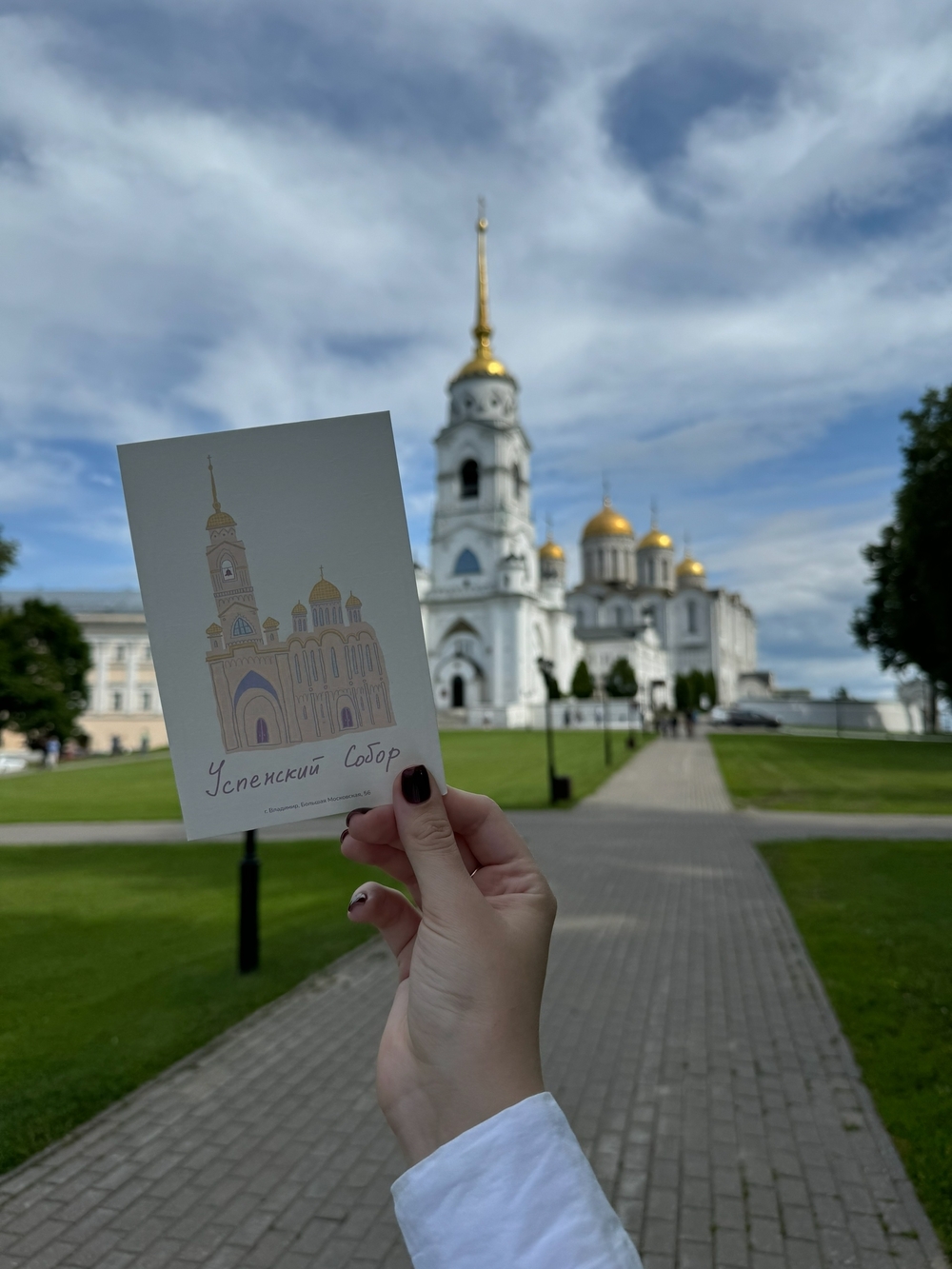 Иллюстратор создает открытки с достопримечательностями Владимира