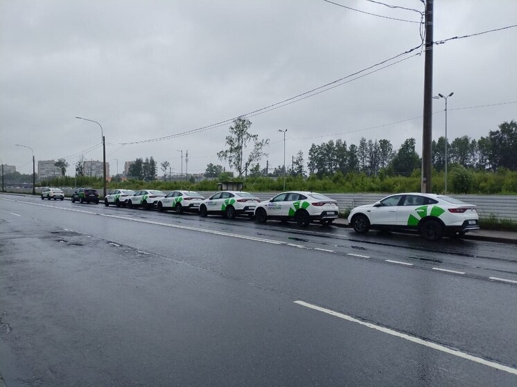 В Петербурге поймали безработного воришку каршеринга