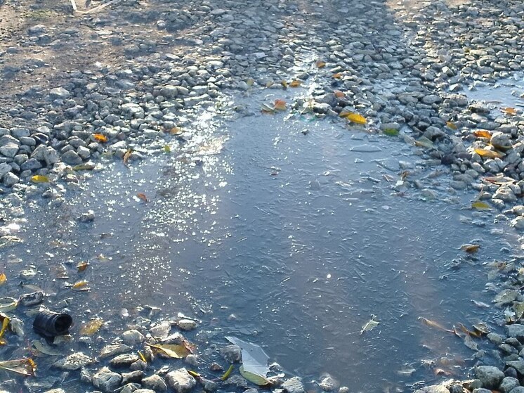 Гололедицу и мокрый снег пообещали синоптики ленинградцам 14 ноября