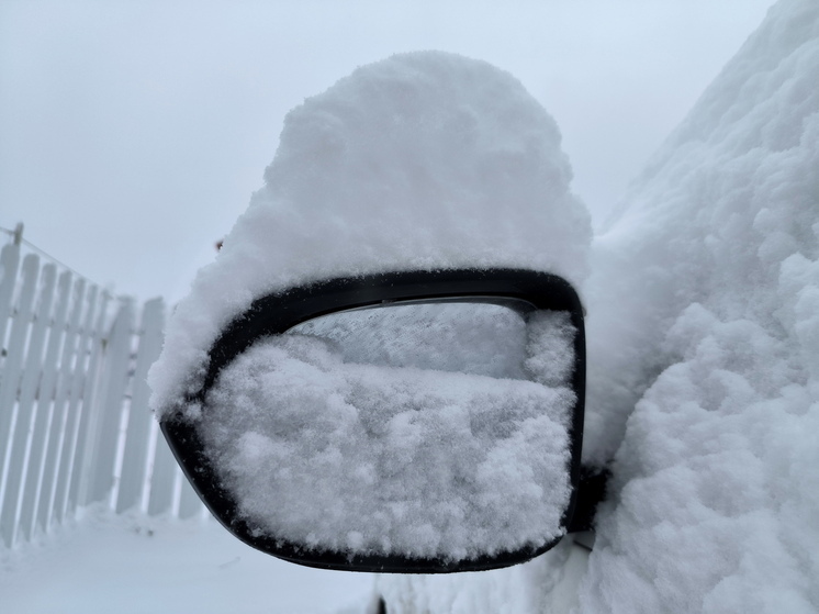 SHOT: обычная картошка может стать аналогом «антидождя» для автомобилистов