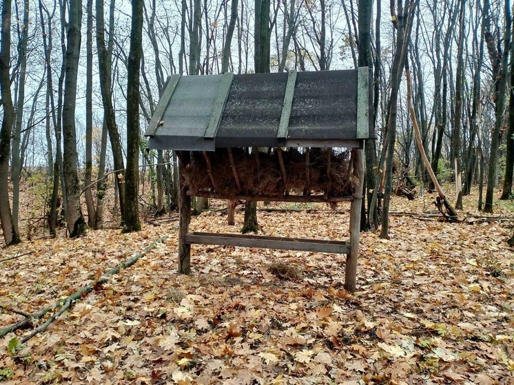 В Курской области защитники природы провели 154 рейда