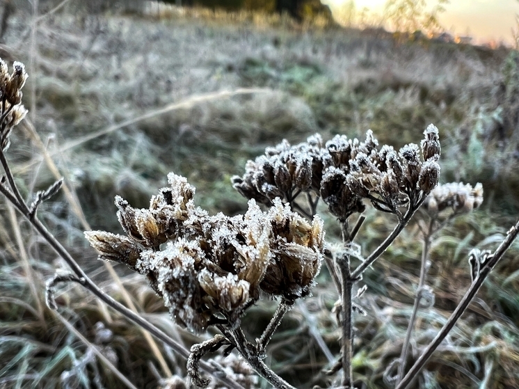 Синоптики назвали дату первого снега в Тверской области