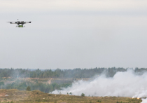 На фоне коррупционного сюжета с уничтожением жадными украинскими чиновниками собственного «Энергоатома» даже работа российских БПЛА по энергообъектам поутихла