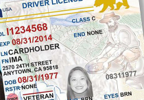 Американский штат Калифорния планирует отозвать 17 тысяч коммерческих водительских прав, выданных иммигрантам, после того, как выяснилось, что истёк срок действия водительских удостоверений, выданных им на законных основаниях в США, сообщили в среду официальные лица штата