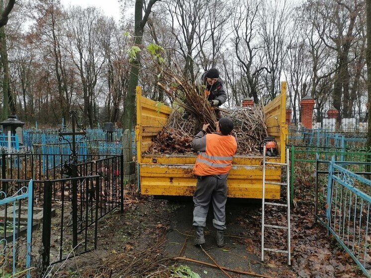 В Курске на Никитском кладбище студенты вузов собрали 60 кубометров отходов
