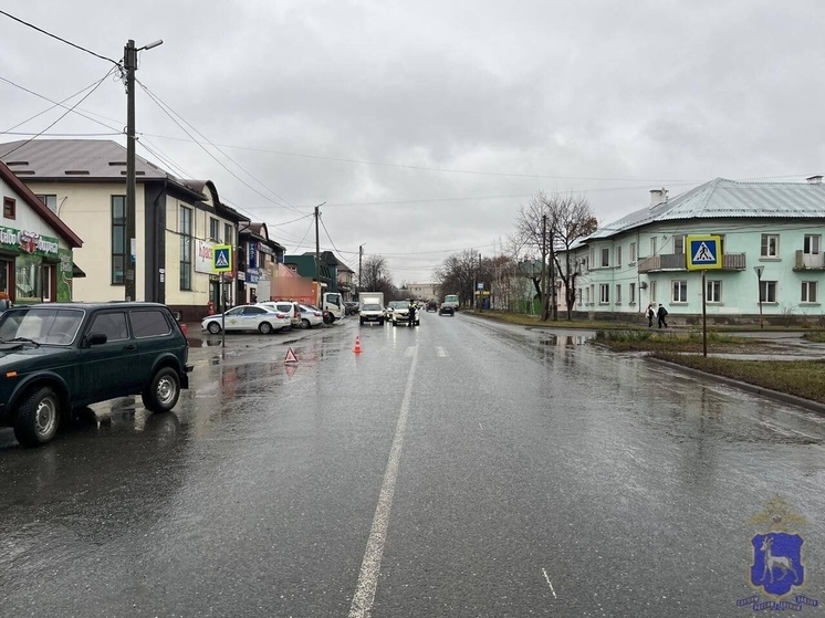 Пенсионер на «Ниве» сбил женщину и 4-летнего ребенка в Самарской области