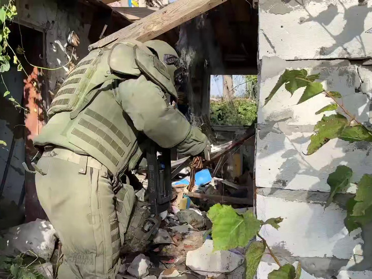 Саперы с начала года обследовали в ЛНР почти 2,4 тыс. га территории