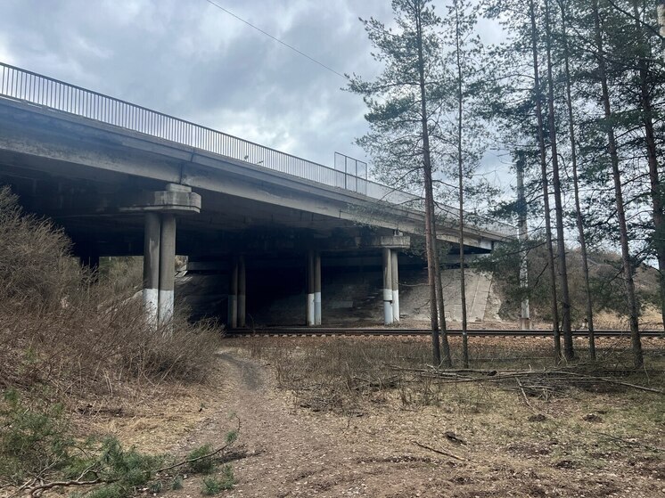 Петербуржцам сообщили о перекрытии Рубежного путепровода на ремонт