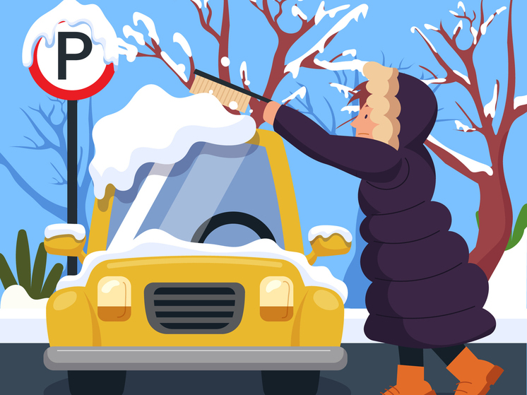 Циклон атакует: на Тамбовщину придут морозы, снег и гололедица