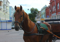 14 ноября 2025 года в календаре присутствуют важные международные, церковные и народные праздники. Этот день посвящен борьбе с диабетом, памяти святых бессребреников и традиционным Кузьминкам.