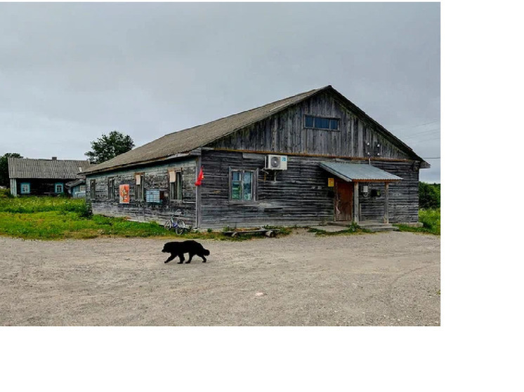 Поселок Онежский остался без электричества