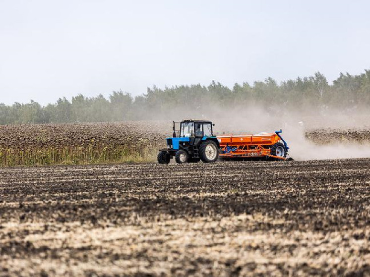 Аграрии Губкинского округа собрали рекордный урожай