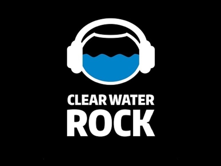 Денег больше нет. Организаторы закрыли фестиваль «Рок чистой воды»