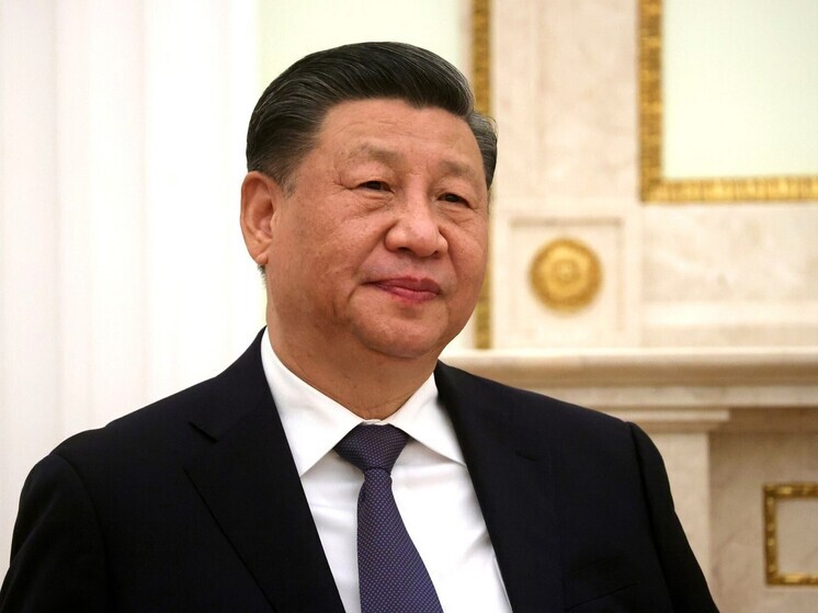 Die Zeit: председатель КНР Си Цзиньпин отменил участие во встрече G20
