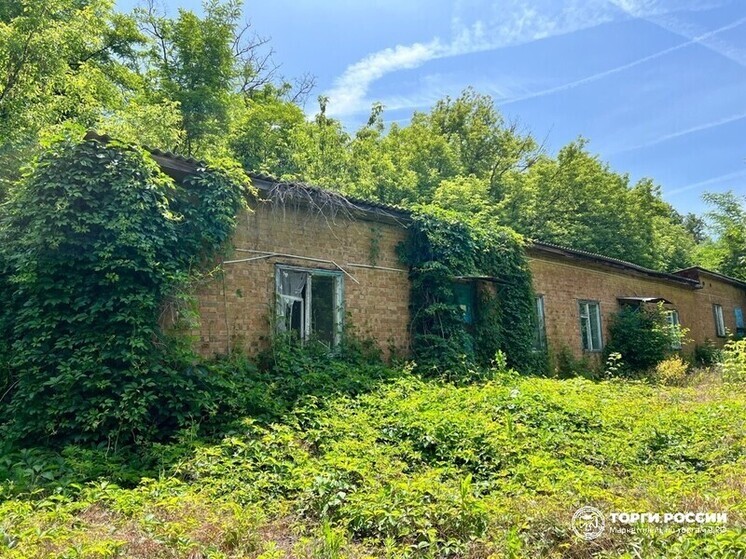 В хуторе под Таганрогом за 44 млн рублей реализуют детский санаторий «Солнышко»