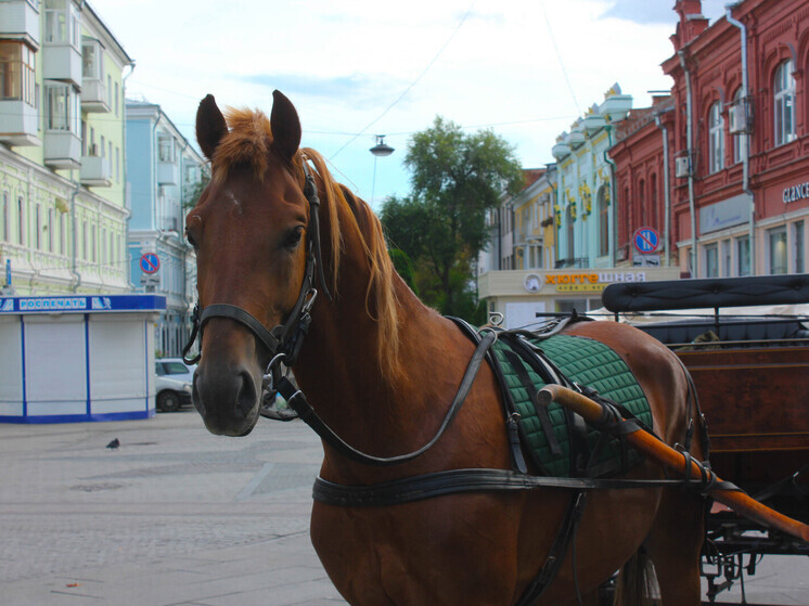 14 ноября 2025 года в календаре присутствуют важные международные, церковные и народные праздники. Этот день посвящен борьбе с диабетом, памяти святых бессребреников и традиционным Кузьминкам.