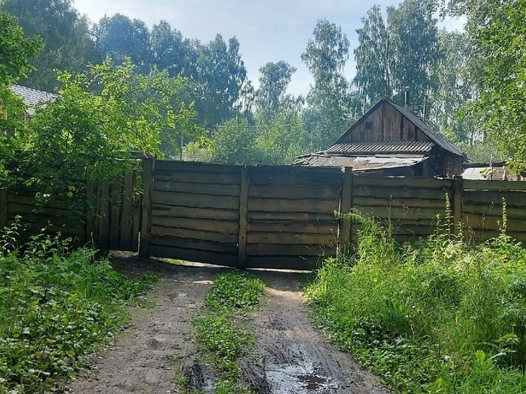 Эксперт рассказал дачникам, как уберечь плодовые деревья от гибели зимой