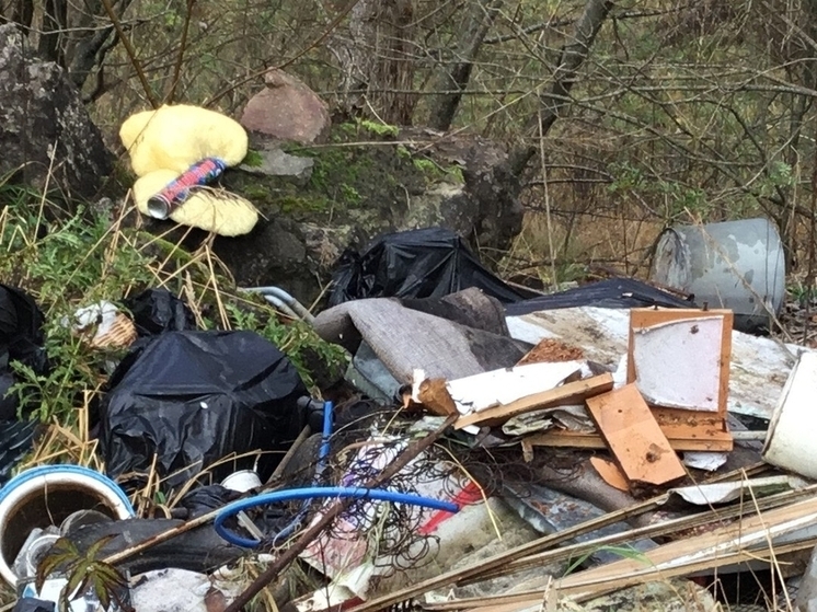 Под Зеленоградском фермер вместо овощей вырастил борщевик и мусор